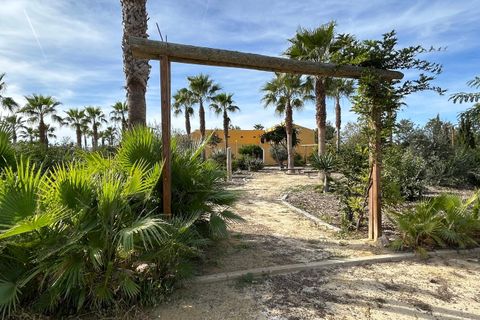 Byhus i Dolores, Alicante, Dolores - € 430.000 | Ref: MLSC4025773 - foto 49