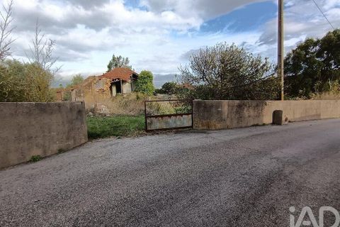 Byhus i Torres Novas, Santarem, Torres Novas - € 45.000 | Ref: 750212 - foto 2