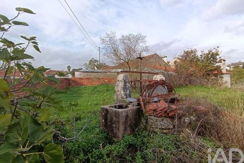 Byhus i Torres Novas, Santarem, Torres Novas - € 45.000 | Ref: 750212 - foto 3