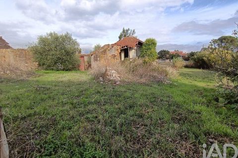 Byhus i Torres Novas, Santarem, Torres Novas - € 45.000 | Ref: 750212 - foto 4