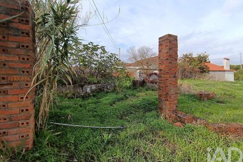 Byhus i Torres Novas, Santarem, Torres Novas - € 45.000 | Ref: 750212 - foto 8
