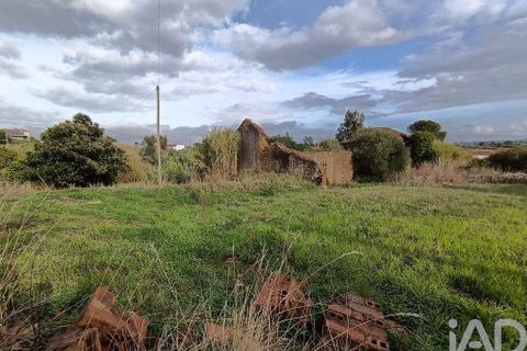 Byhus i Torres Novas, Santarem, Torres Novas - € 45.000 | Ref: 750212 - foto 10
