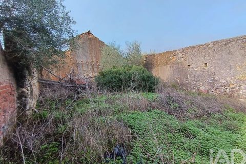 Byhus i Torres Novas, Santarem, Torres Novas - € 45.000 | Ref: 750212 - foto 11