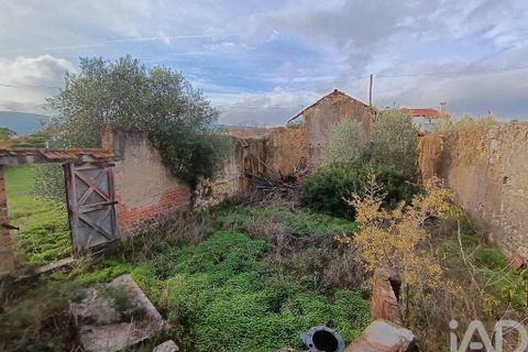 Byhus i Torres Novas, Santarem, Torres Novas - € 45.000 | Ref: 750212 - foto 12