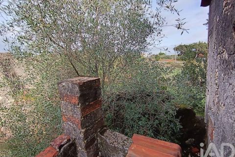 Byhus i Torres Novas, Santarem, Torres Novas - € 45.000 | Ref: 750212 - foto 15