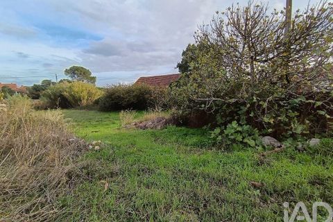 Byhus i Torres Novas, Santarem, Torres Novas - € 45.000 | Ref: 750212 - foto 16