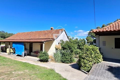 Farm i Ponte de Lima, Viana do Castelo, Ponte de Lima - € 479.000 | Ref: AV6535 - foto 7