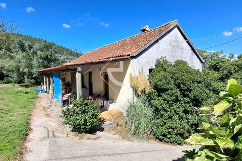 Farm i Ponte de Lima, Viana do Castelo, Ponte de Lima - € 479.000 | Ref: AV6535 - foto 10