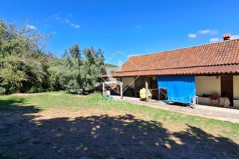 Farm i Ponte de Lima, Viana do Castelo, Ponte de Lima - € 479.000 | Ref: AV6535 - foto 11