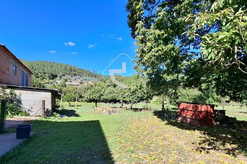 Farm i Ponte de Lima, Viana do Castelo, Ponte de Lima - € 479.000 | Ref: AV6535 - foto 15