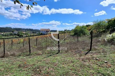 Farm i Ponte de Lima, Viana do Castelo, Ponte de Lima - € 479.000 | Ref: AV6535 - foto 16