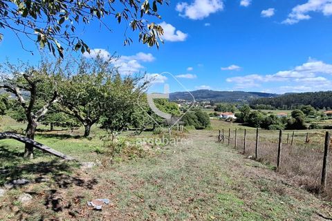 Farm i Ponte de Lima, Viana do Castelo, Ponte de Lima - € 479.000 | Ref: AV6535 - foto 18