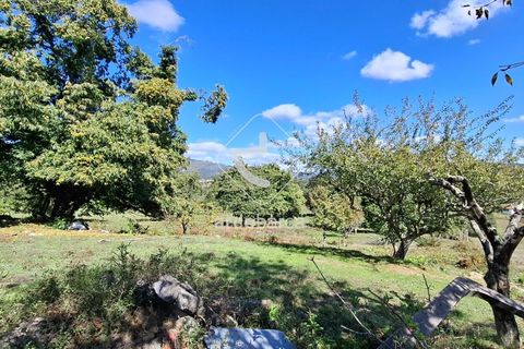 Farm i Ponte de Lima, Viana do Castelo, Ponte de Lima - € 479.000 | Ref: AV6535 - foto 19