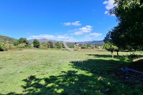 Farm i Ponte de Lima, Viana do Castelo, Ponte de Lima - € 479.000 | Ref: AV6535 - foto 21