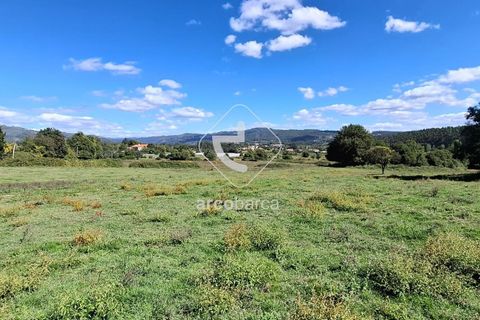 Farm i Ponte de Lima, Viana do Castelo, Ponte de Lima - € 479.000 | Ref: AV6535 - foto 22