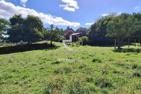 Farm i Ponte de Lima, Viana do Castelo, Ponte de Lima - € 479.000 | Ref: AV6535 - foto 23