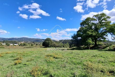 Farm i Ponte de Lima, Viana do Castelo, Ponte de Lima - € 479.000 | Ref: AV6535 - foto 3