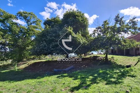 Farm i Ponte de Lima, Viana do Castelo, Ponte de Lima - € 479.000 | Ref: AV6535 - foto 24