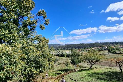 Farm i Ponte de Lima, Viana do Castelo, Ponte de Lima - € 479.000 | Ref: AV6535 - foto 32