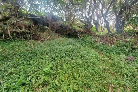 Helårsgrund i Velas, Sao Jorge, Velas - € 38.000 | Ref: T1041 - foto 5