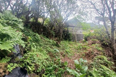 Helårsgrund i Velas, Sao Jorge, Velas - € 38.000 | Ref: T1041 - foto 6