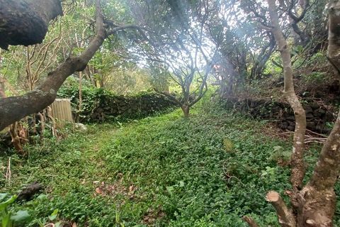Helårsgrund i Velas, Sao Jorge, Velas - € 38.000 | Ref: T1041 - foto 7