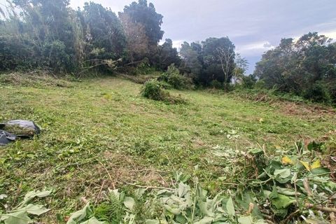 Helårsgrund i Velas, Sao Jorge, Velas - € 38.000 | Ref: T1041 - foto 8