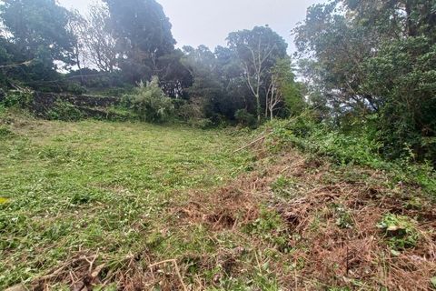 Helårsgrund i Velas, Sao Jorge, Velas - € 38.000 | Ref: T1041 - foto 10