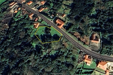 Helårsgrund i Velas, Sao Jorge, Velas - € 38.000 | Ref: T1041 - foto 2