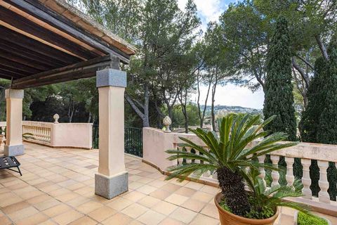 Villa a Santa Ponsa, Mallorca, Santa Ponsa - € 2.500.000 | Ref: 2503676 - foto 22