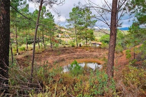 Terra a Portimao, Faro, Portimao - € 98.500 | Ref: 750511 - foto 4