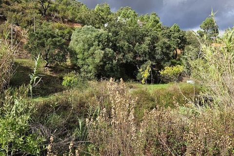 Terra a Portimao, Faro, Portimao - € 98.500 | Ref: 750511 - foto 5