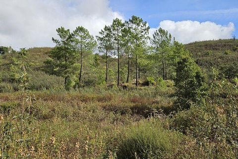 Terra a Portimao, Faro, Portimao - € 98.500 | Ref: 750511 - foto 6