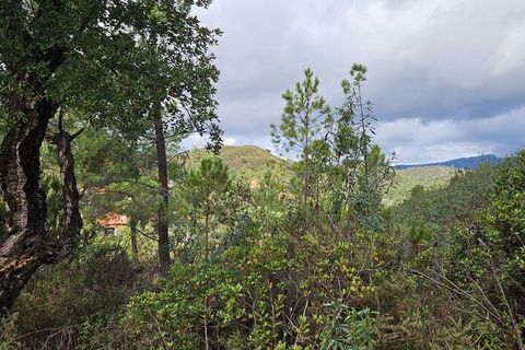 Terra a Portimao, Faro, Portimao - € 98.500 | Ref: 750511 - foto 8