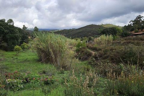 Terra a Portimao, Faro, Portimao - € 98.500 | Ref: 750511 - foto 10