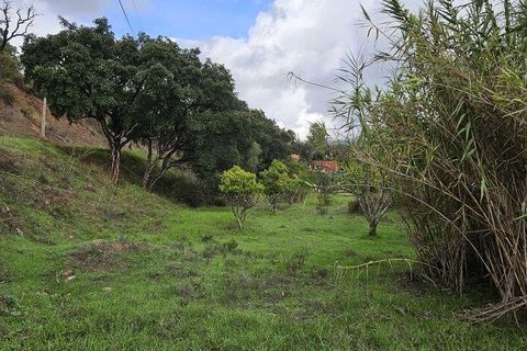 Terra a Portimao, Faro, Portimao - € 98.500 | Ref: 750511 - foto 12