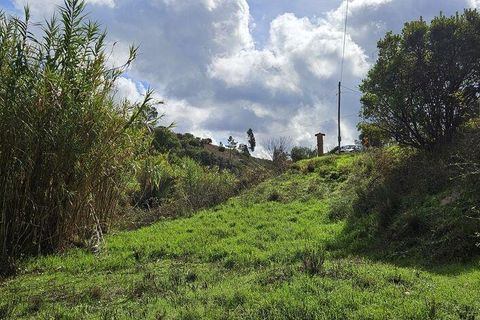 Terra a Portimao, Faro, Portimao - € 98.500 | Ref: 750511 - foto 13