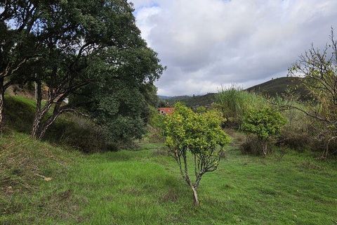 Terra a Portimao, Faro, Portimao - € 98.500 | Ref: 750511 - foto 14