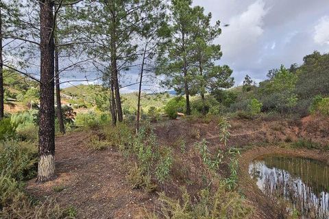 Terra a Portimao, Faro, Portimao - € 98.500 | Ref: 750511 - foto 3