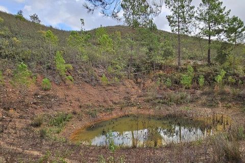 Terra a Portimao, Faro, Portimao - € 98.500 | Ref: 750511 - foto 18