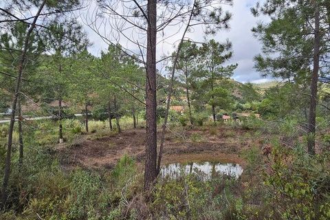 Terra a Portimao, Faro, Portimao - € 98.500 | Ref: 750511 - foto 23