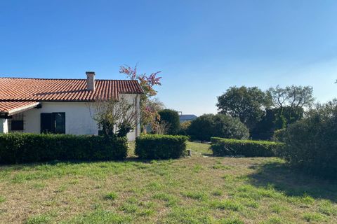 Villa a Numana, Ancona, Numana - € 650.000 | Ref: 569 - foto 5