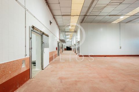 Lejlighed i Vilamarxant, Valencia, Vilamarxant - € 2.000.000 | Ref: IL-0060 - foto 2