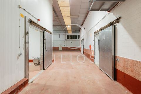 Lejlighed i Vilamarxant, Valencia, Vilamarxant - € 2.000.000 | Ref: IL-0060 - foto 11