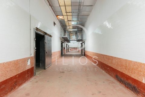 Lejlighed i Vilamarxant, Valencia, Vilamarxant - € 2.000.000 | Ref: IL-0060 - foto 21