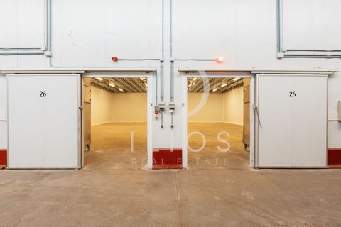 Lejlighed i Vilamarxant, Valencia, Vilamarxant - € 2.000.000 | Ref: IL-0060 - foto 26