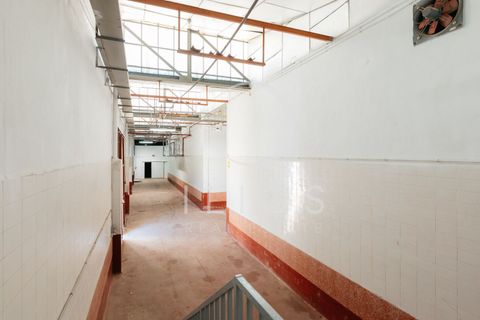 Lejlighed i Vilamarxant, Valencia, Vilamarxant - € 2.000.000 | Ref: IL-0060 - foto 34
