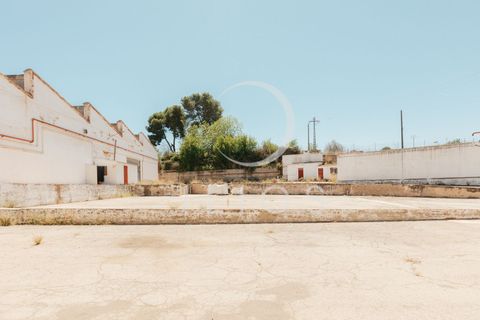 Lejlighed i Vilamarxant, Valencia, Vilamarxant - € 2.000.000 | Ref: IL-0060 - foto 40