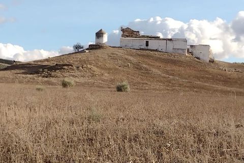 Finca i Malaga city, Malaga - foto 3