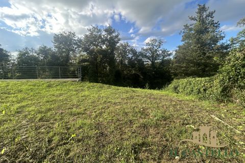 Villa a Magione, Perugia, Magione - € 545.000 | Ref: VL56 - foto 30